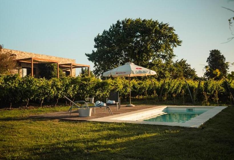 Общежитие Pizzorno Lodge & Wine