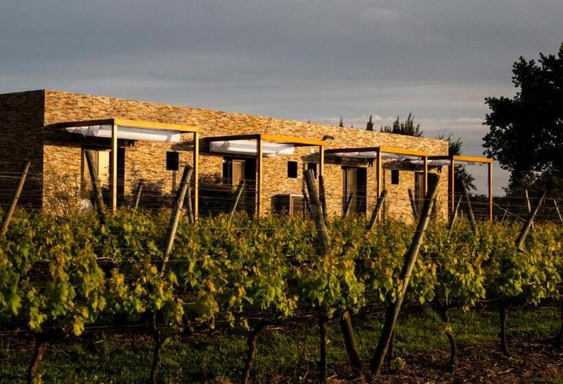 فندق صغير Pizzorno Lodge & Wine