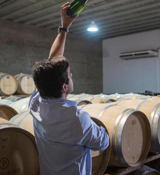 Общежитие Pizzorno Lodge & Wine