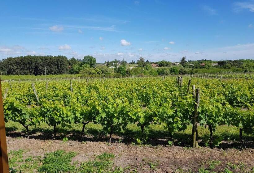 فندق صغير Pizzorno Lodge & Wine
