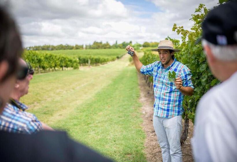 Общежитие Pizzorno Lodge & Wine