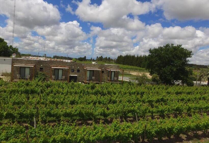 فندق صغير Pizzorno Lodge & Wine