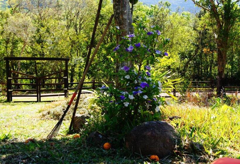 旅馆 Pousada Pico Da Galera/maquiné