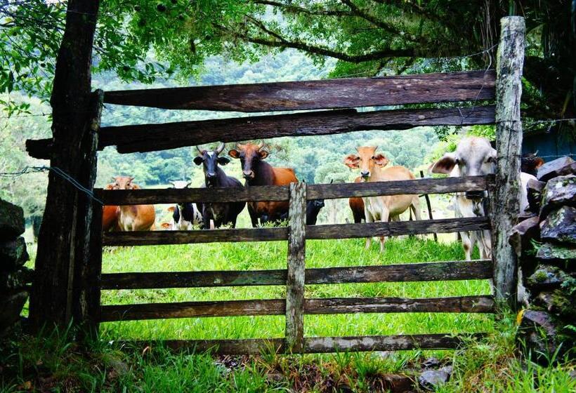 旅馆 Pousada Pico Da Galera/maquiné