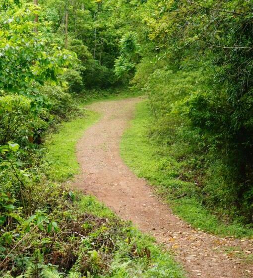 旅馆 Pousada Pico Da Galera/maquiné