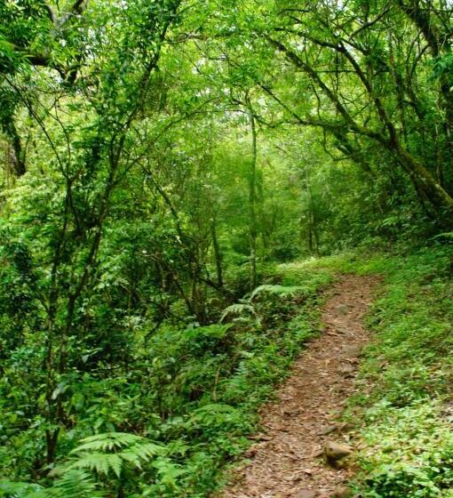 הוסטל Pousada Pico Da Galera/maquiné