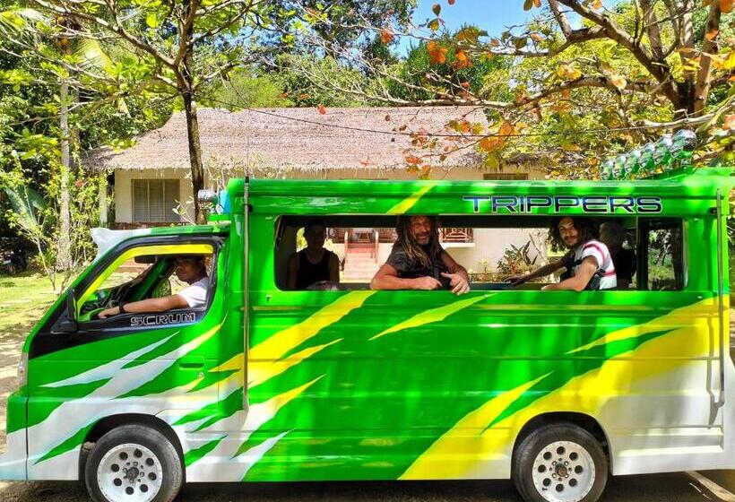 הוסטל The Sylvia