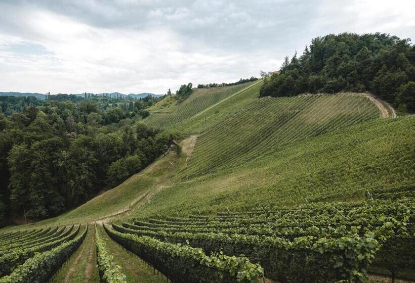 فندق صغير Weingut Essgut Schlafgut Sabathihof Dillinger