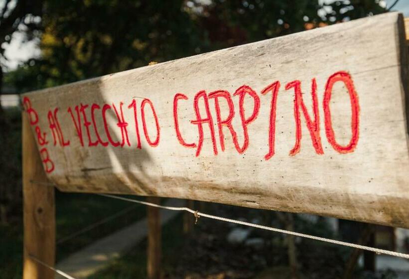 B&b Al Vecchio Carpino