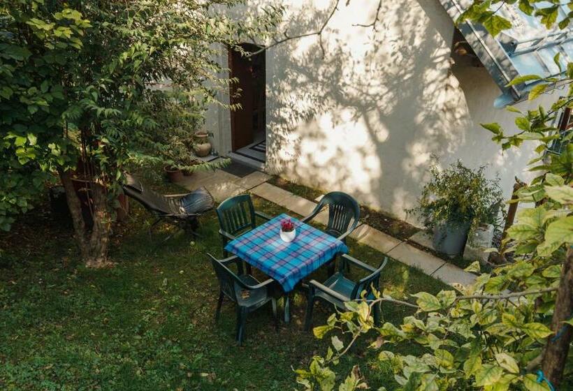 B&b Al Vecchio Carpino