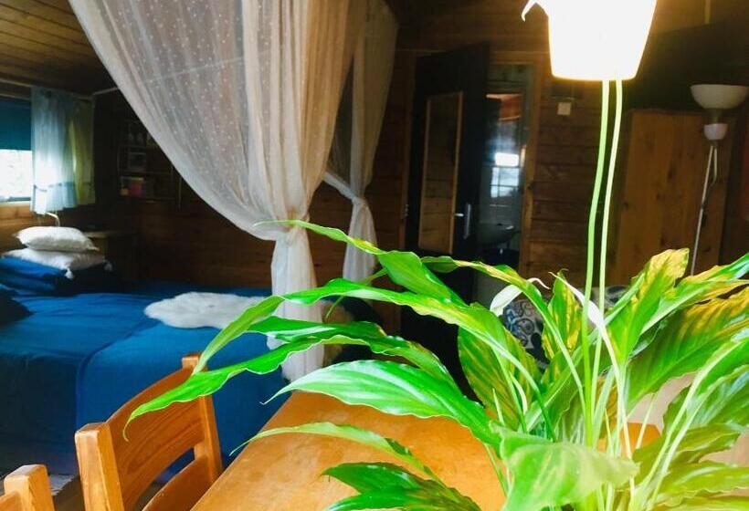 B&b De Pauw   Country Home Cooking