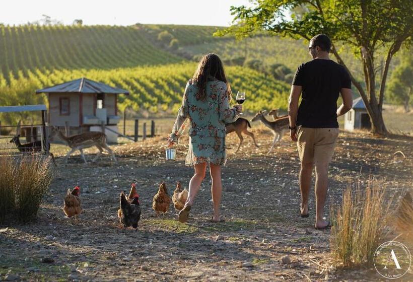 Bed and Breakfast The Vigneron Villa