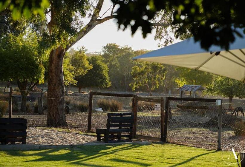 Bed and Breakfast The Vigneron Villa