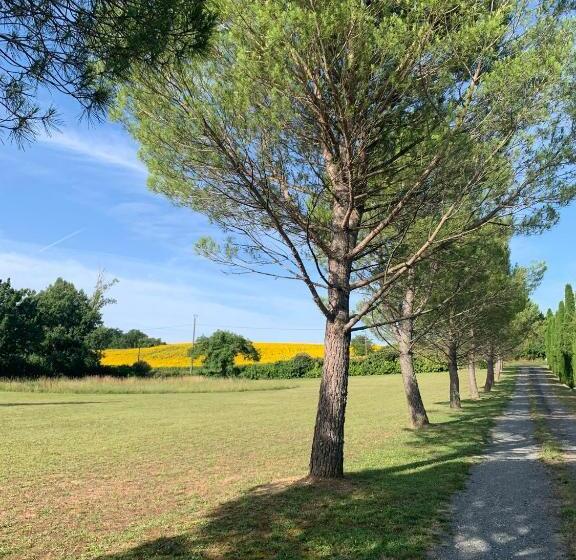 住宿加早餐 Brin De Cocagne