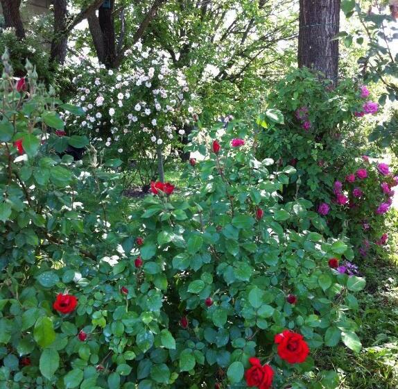 مبيت وإفطار Casa A Soliera