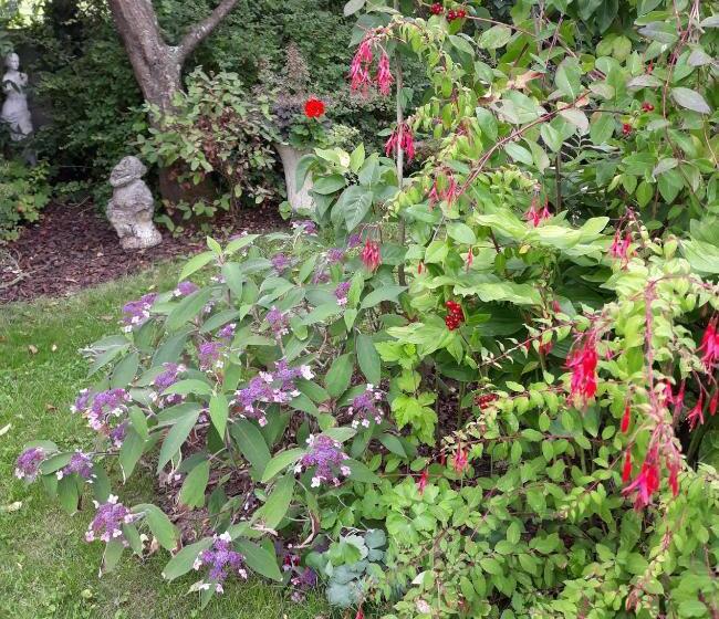 민박 Chambres D Hôtes La Luce