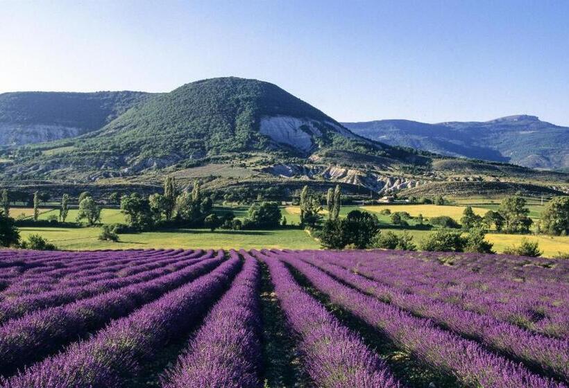 مبيت وإفطار Coeuraccords, Spa & Bien être Au Calme Naturiste Toute L Année