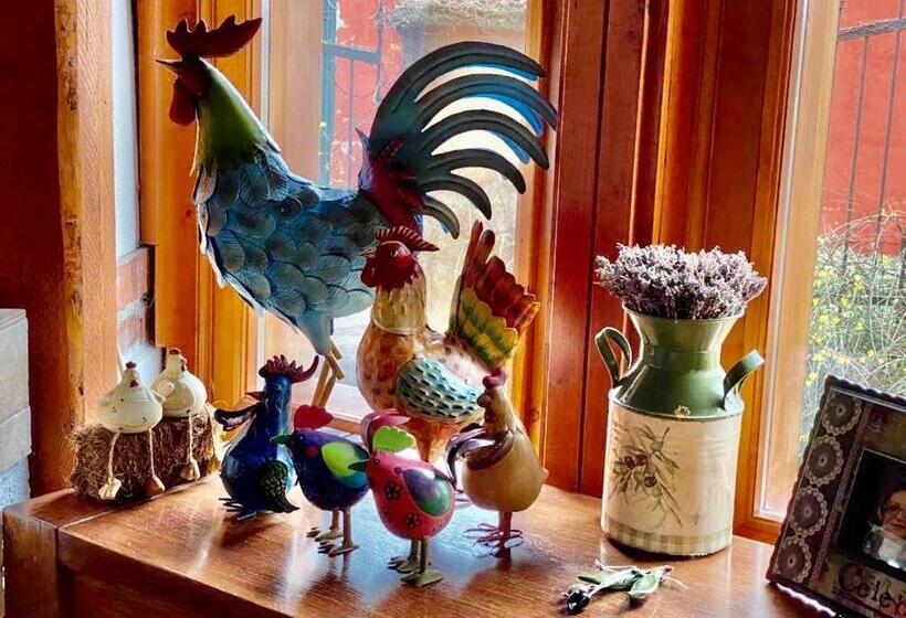 مبيت وإفطار Daiconi Boutique House