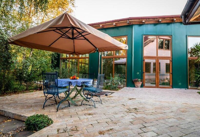 مبيت وإفطار Daiconi Boutique House