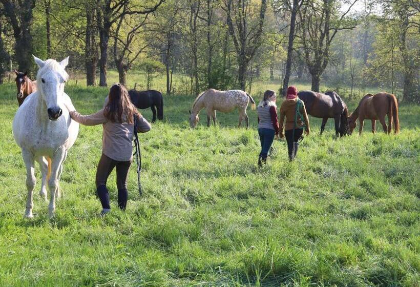 Bed and Breakfast Domaine Des Pierres Jumelles Balade à Cheval Chambre D Hôtes Mayenne