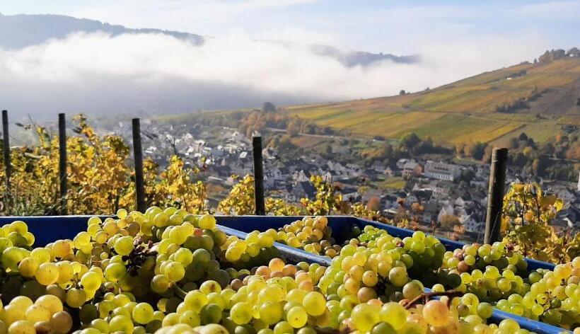 مبيت وإفطار Gästehaus Mona Lisa