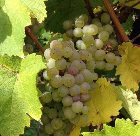 مبيت وإفطار Gästehaus Mona Lisa