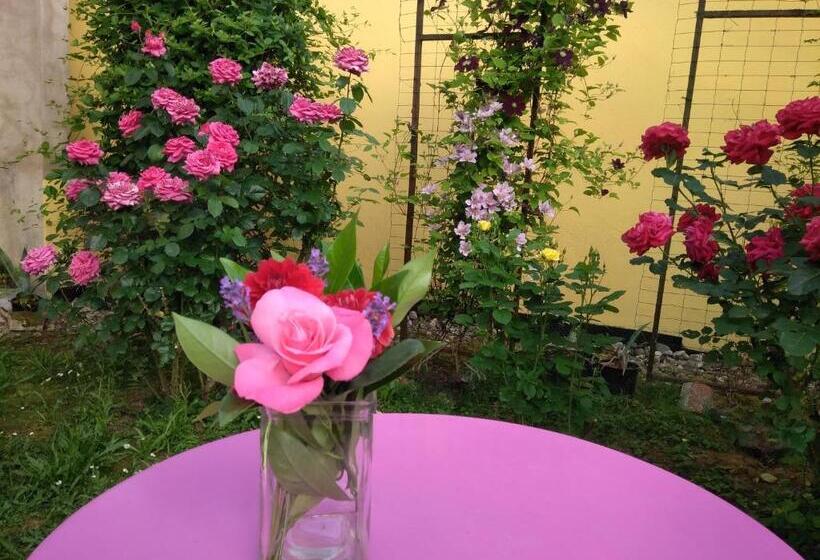 Bed and Breakfast La Chambre Aux Hirondelles