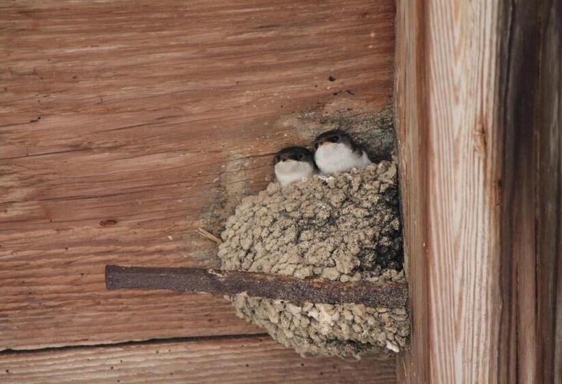 Bed and Breakfast La Chambre Aux Hirondelles