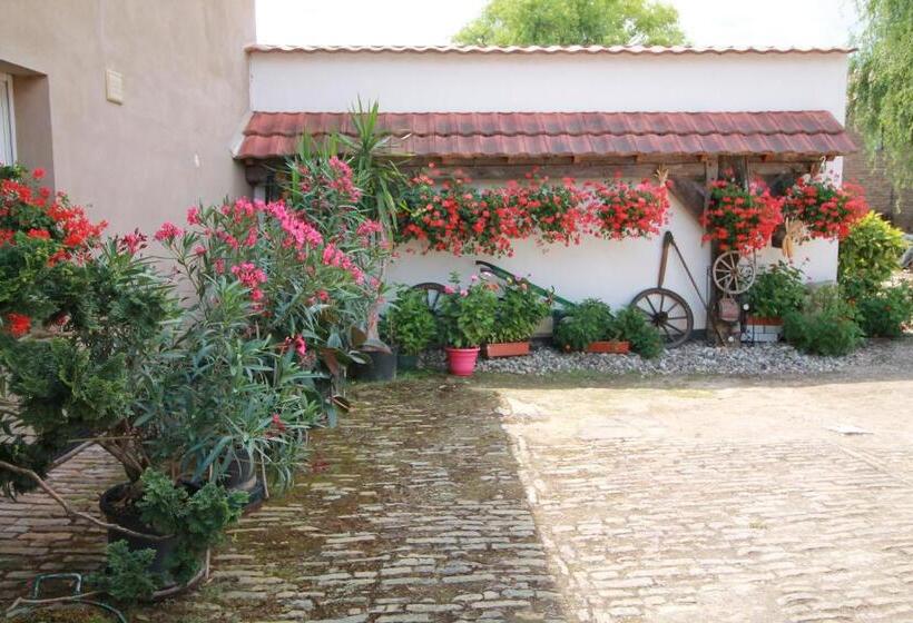 Bed and Breakfast La Chambre Aux Hirondelles