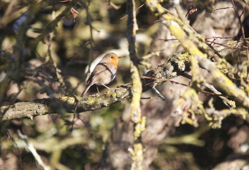 ベッドアンドブレックファースト La Charentine