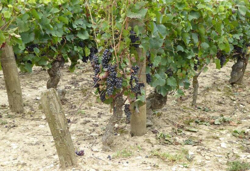 צימר La Loubertine