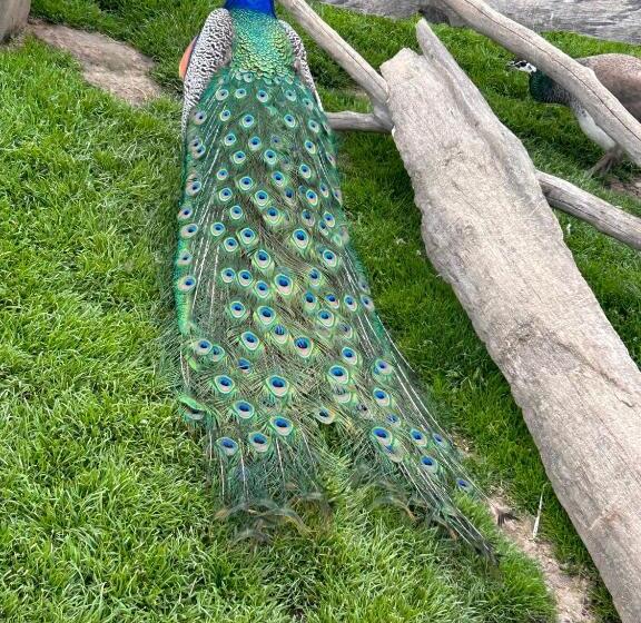 צימר La Loubertine