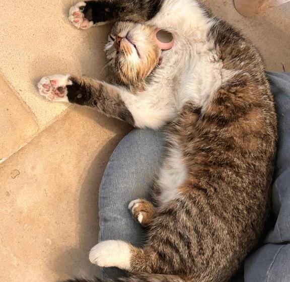 צימר La Loubertine