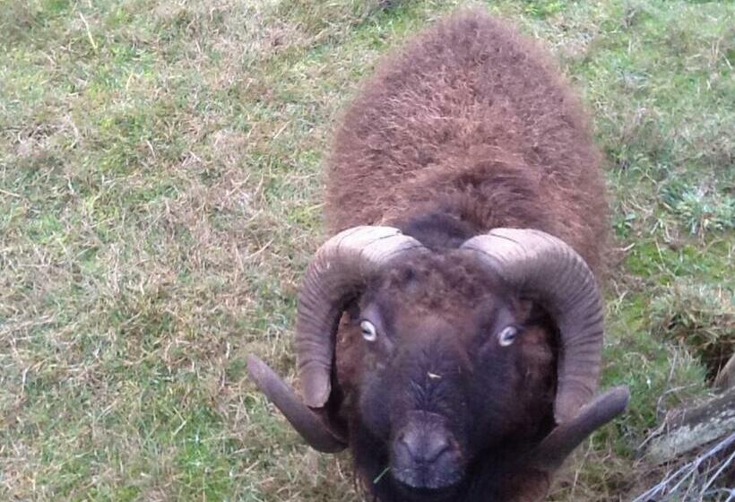 Bed and Breakfast La Roche Parthenay Farm