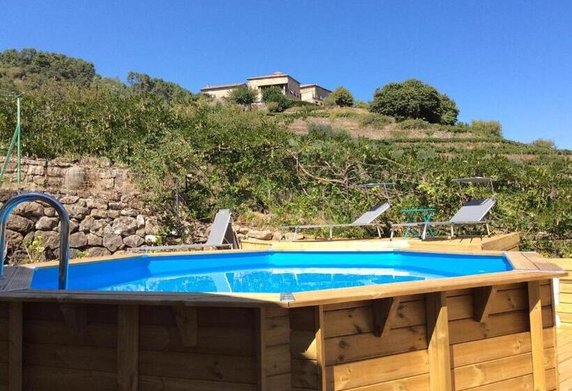 ベッドアンドブレックファースト La Terrasse Des Cevennes