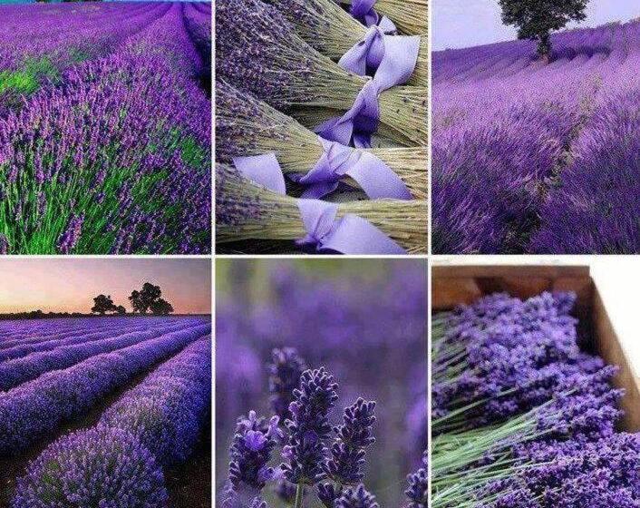 צימר Le Pigeonnier Chambre D Hôte