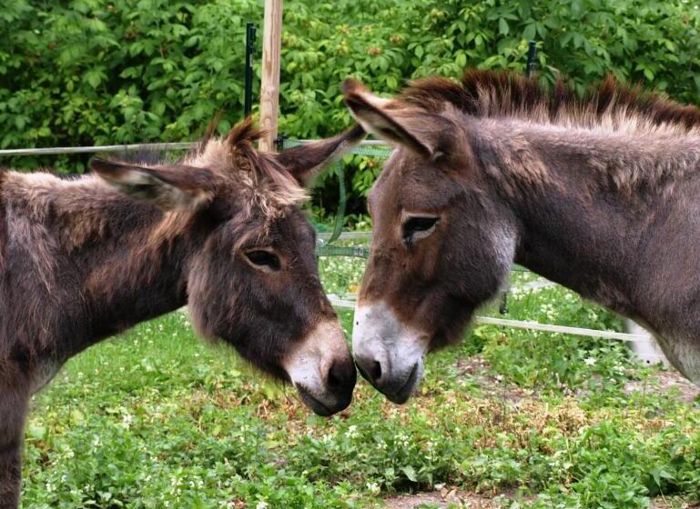 Bed and Breakfast Les Rives De L Andelle