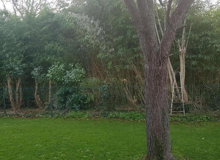 ベッドアンドブレックファースト Maison Architecte