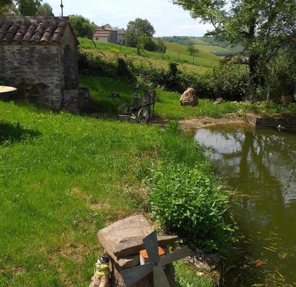 Bed and Breakfast Maison Belvoir