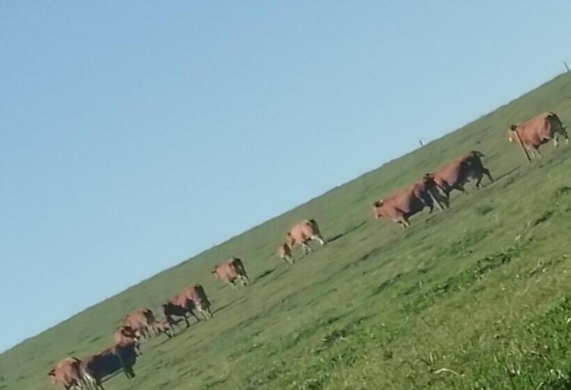 مبيت وإفطار Maison Maupas Chambre Rouge