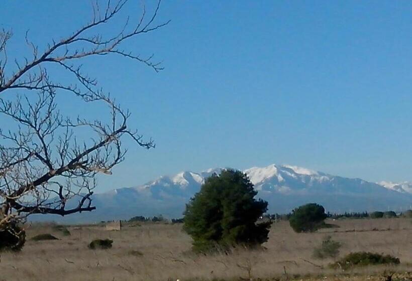 住宿加早餐  Mas Soleil Et Vignes