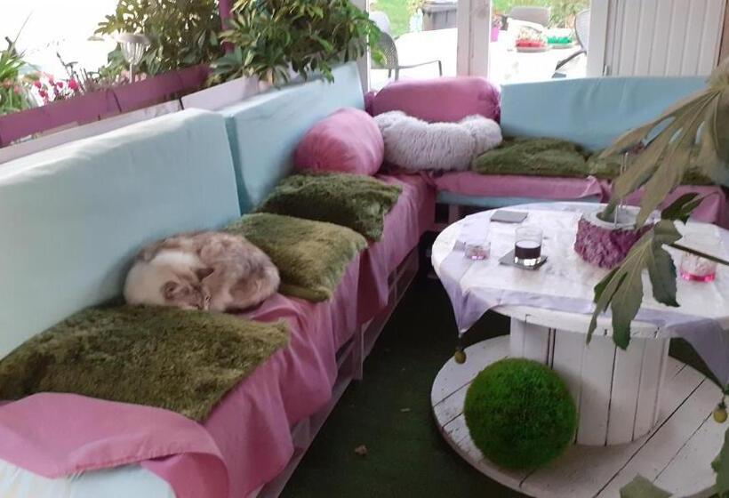 مبيت وإفطار O Jardin