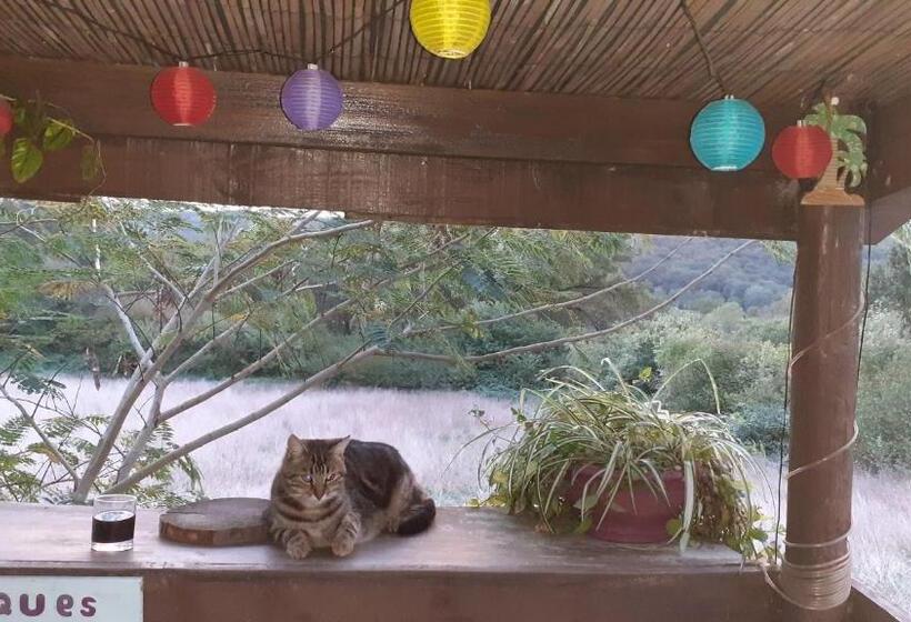 مبيت وإفطار O Jardin