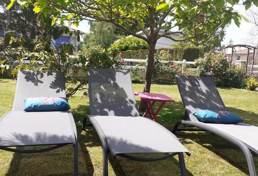 مبيت وإفطار O Jardin