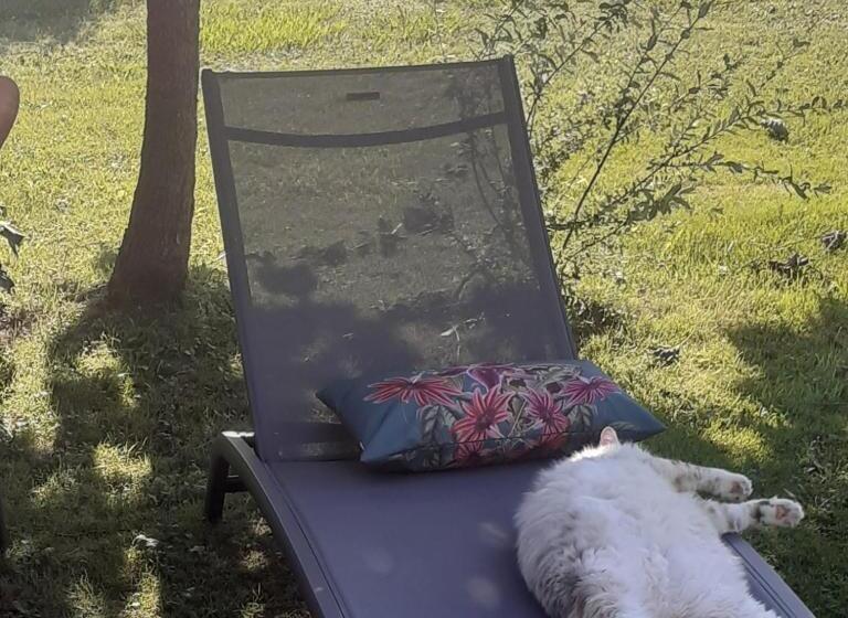 مبيت وإفطار O Jardin