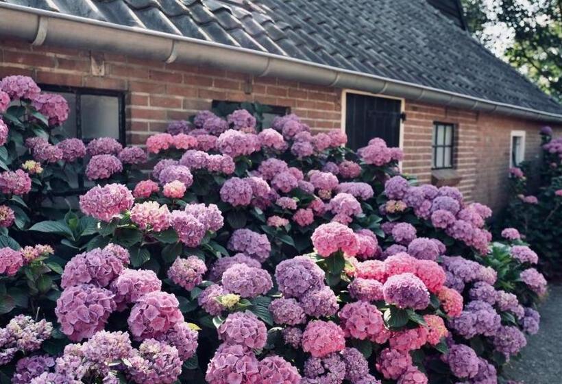 צימר Onder De Appelboom