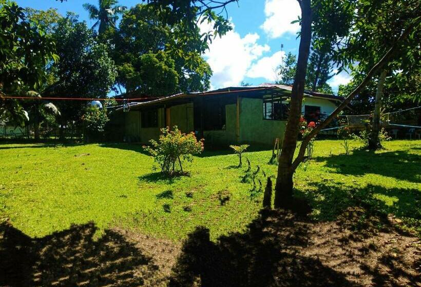 Bed and Breakfast Purples