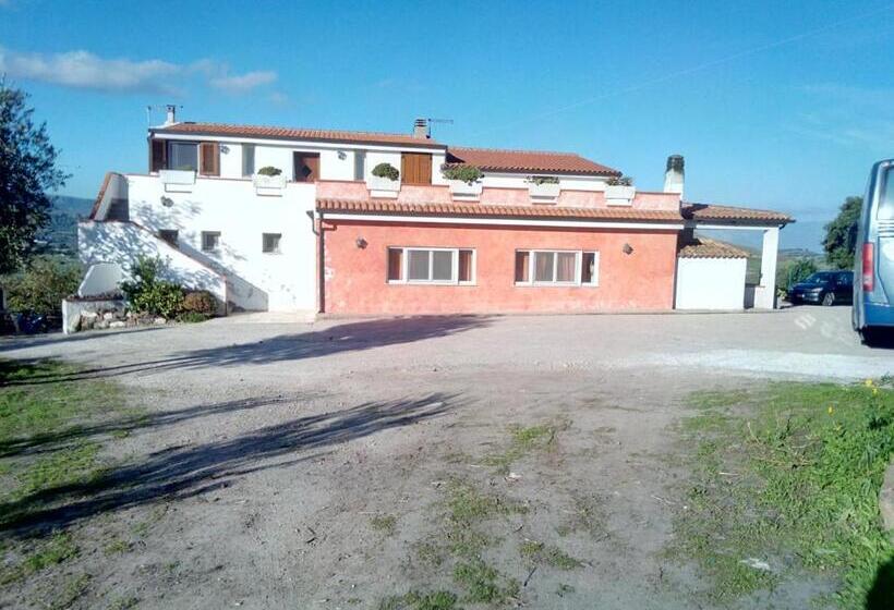 Bed And Breakfast Sas Damas