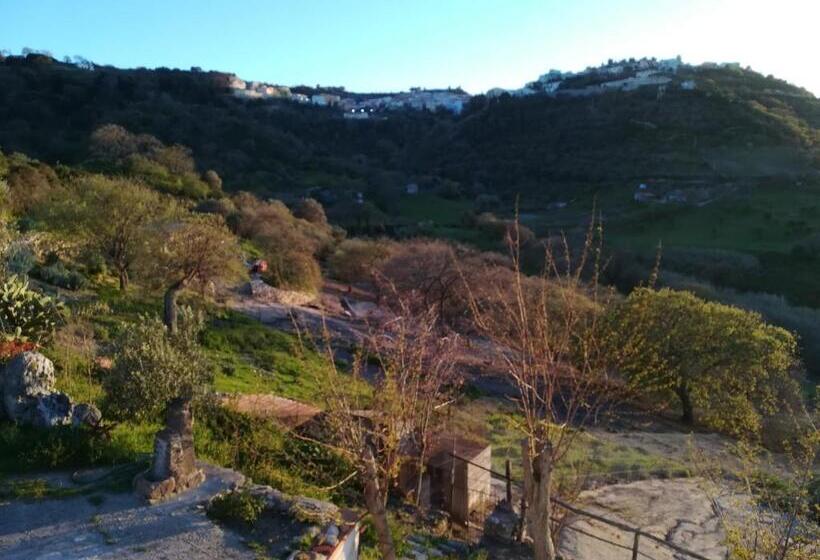 Bed And Breakfast Sas Damas