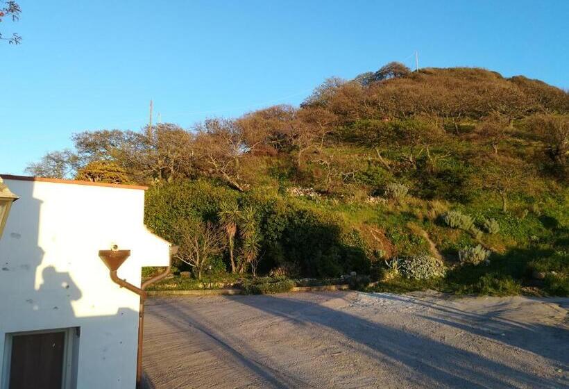 Bed And Breakfast Sas Damas